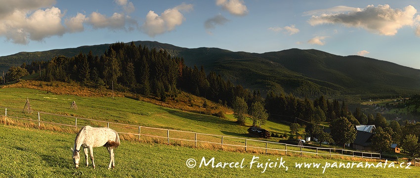 Kůň Bono pod Babí horou